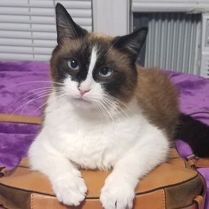 Meet your Posher, Audrey